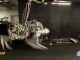 Cheetah le robot guépard de DARPA