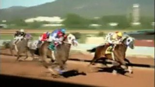 Watch - Damsel Stakes at Woodbine (4yo&up Mare pace) on ...