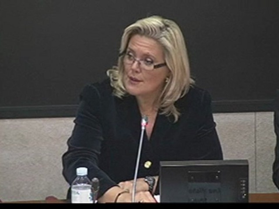 Commission des affaires culturelles : Examen du rapport de la mission d'information sur les Mécénat  culturel Partie 1