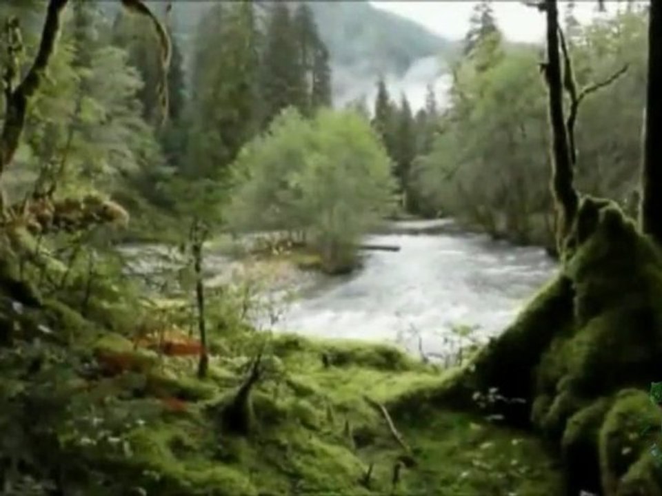 THE NATURE OF THE MUSIC - I BELIEVE IN YOU
