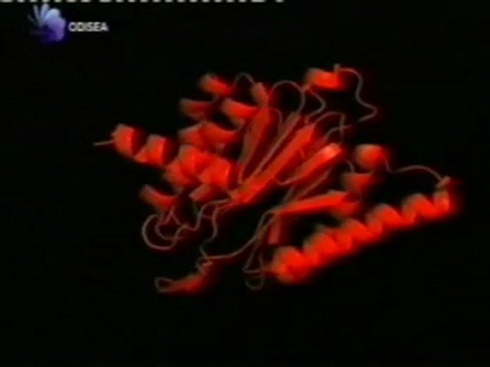 Geometria biologica: Proteinas y virus