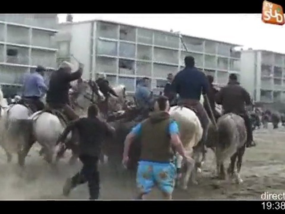Abrivado des plages 2012 sous haute sécurité (Grau-du-Roi)