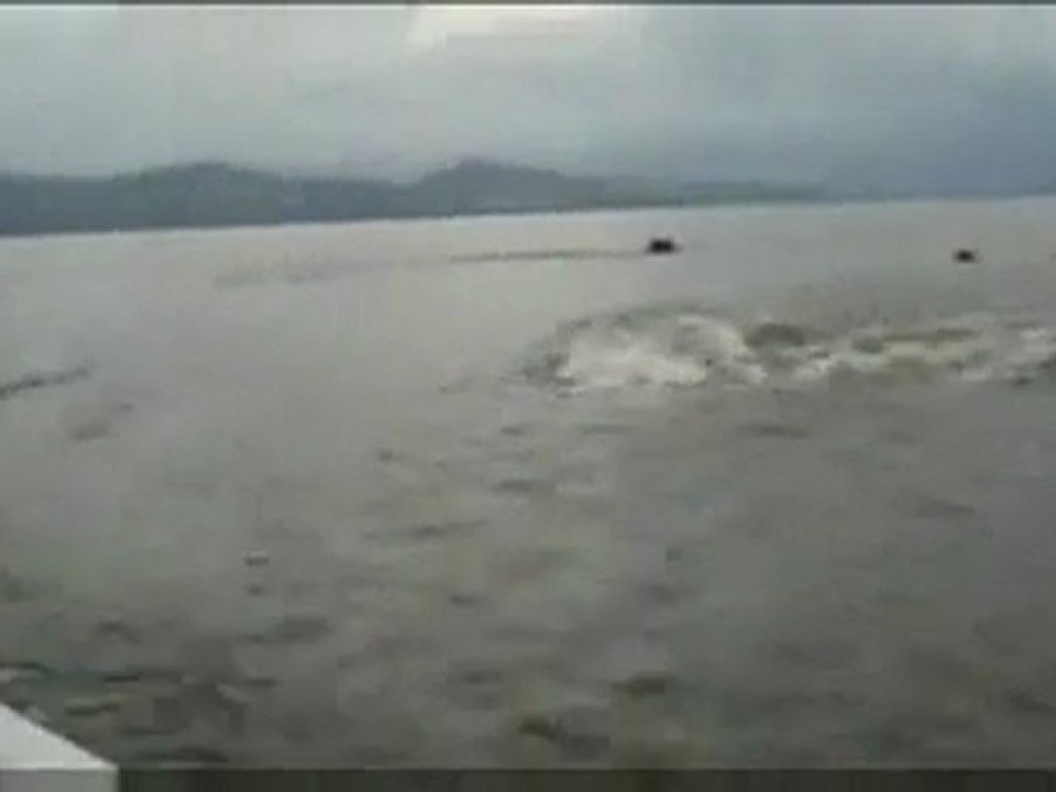 Hipopotam Tekneye Saldırmak İstedi!