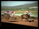 Watch - The Honeybee at Oaklawn Park (Fillies) on 3/10 ...