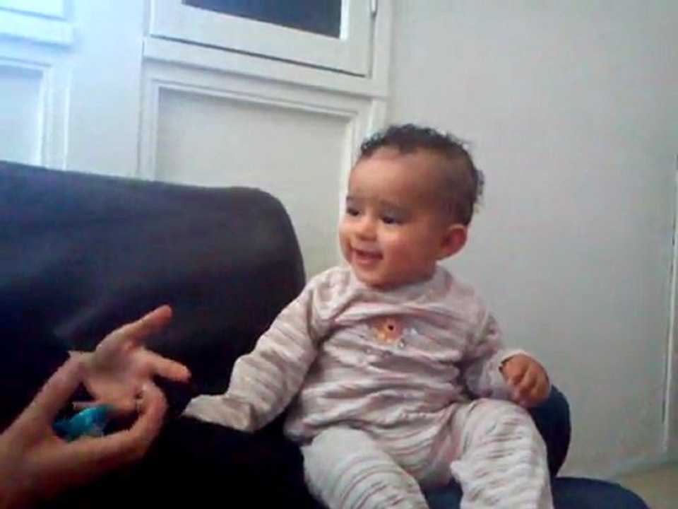 noah