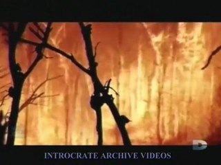 l'Ère de la Stupidité - 6_6 fin