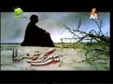 Mein Mar Gai Shaukat Ali - Episode 013