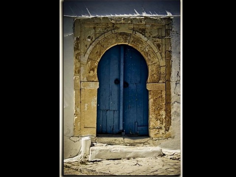 Les fameuses portes de Sidi Bou Said