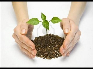 Nuevo buscador ¡wazzub! mejor que google