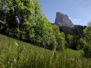 Spot Gresse en Vercors - été