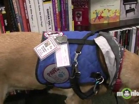 Living with Disabilities & Assistance Dog Etiquette