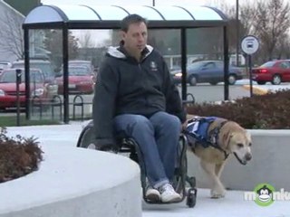 How to Select an Assistance Dog Agency