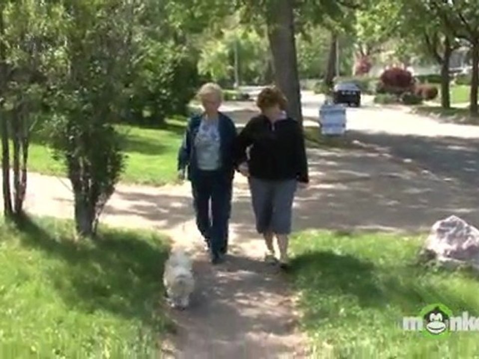 Dealing with Elderly Cognitive Issues