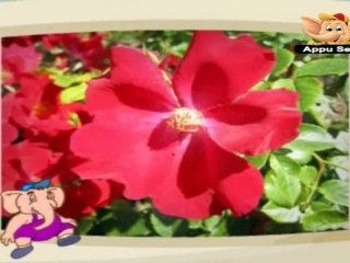 Learn Public Places - Park