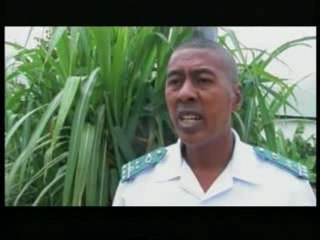 Journal Télévisé Mada / RTA / Madaplus