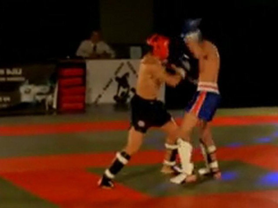 COMBAT K1 ALI BELMENAOUR XTREM FREE FIGHT 2012 PARC DES SPORTS ROANNE