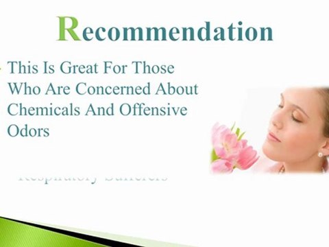 Austin Air Allergy Machine HEGA Purifier Review