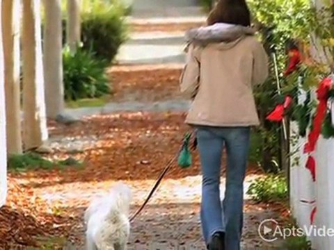 Saddle Ridge Apartments in Houston, TX - ForRent.com