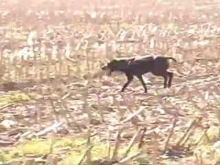 GLAMOUR apprend à courrir
