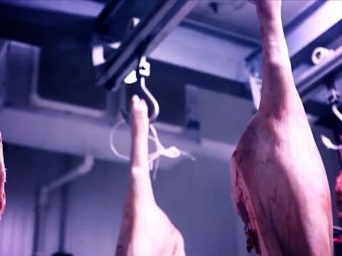 me(a)t - Foyer de Jeunes travailleurs de Tulle