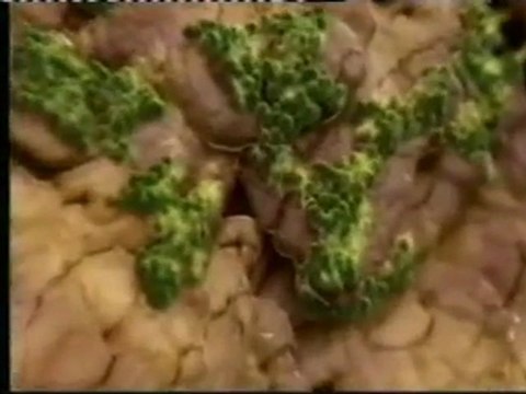 Sudor: Bacterias y hongos en la piel