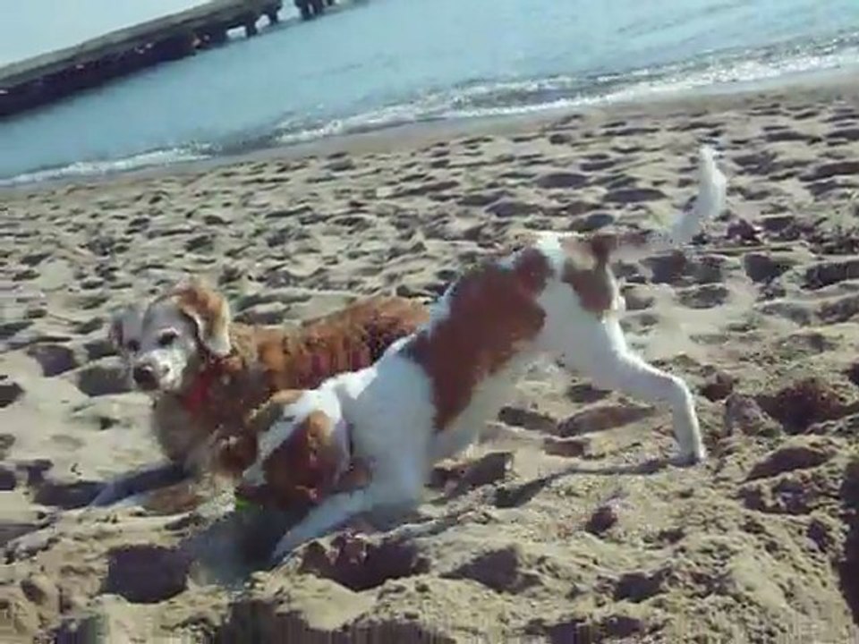 filles plage 1