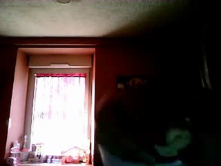 présention de mes 65 petshop