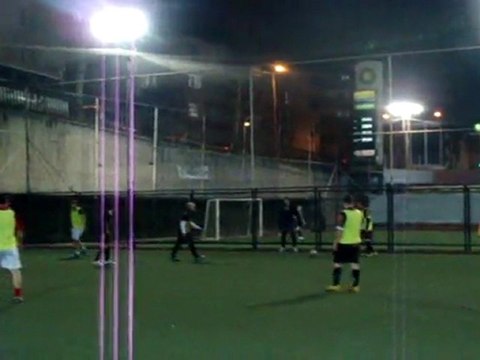 06.03.2012 Boz baykuslar - rafaello