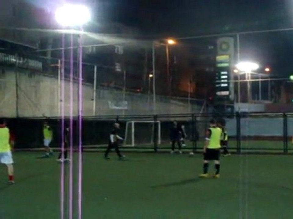 06.03.2012 Boz baykuslar - rafaello