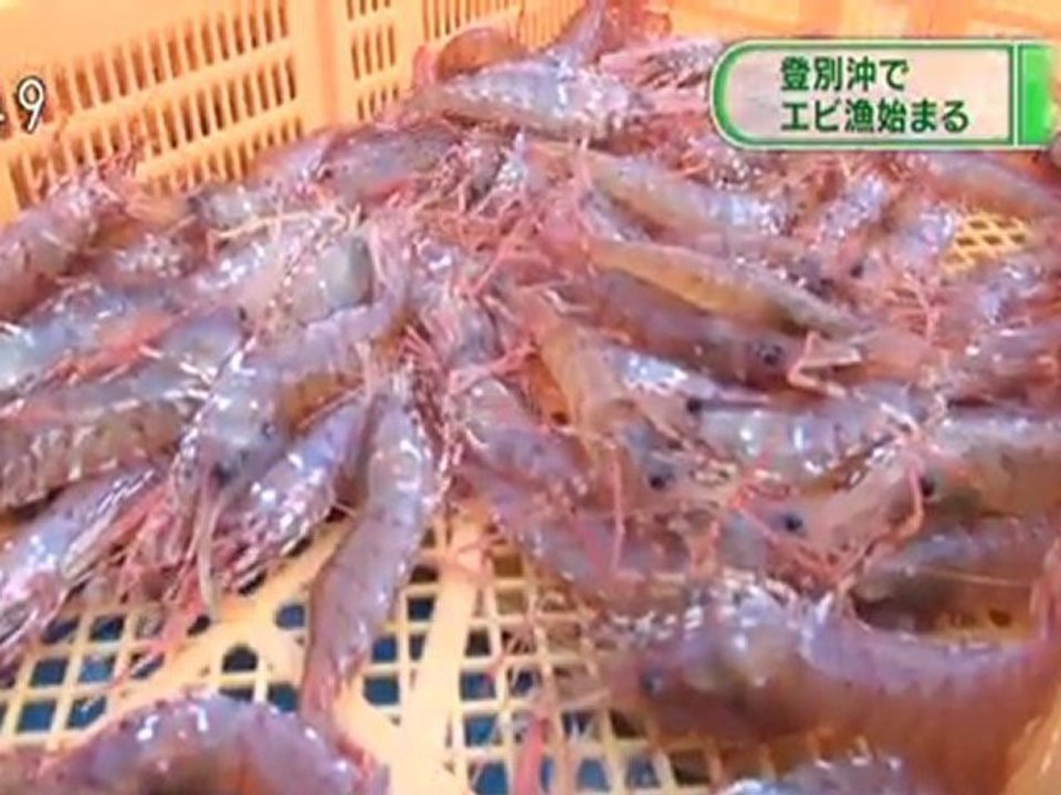 20120307 04