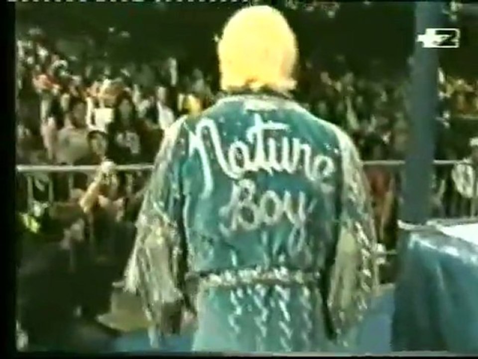 Hulk Hogan vs Undertaker (commento di Dan Peter...