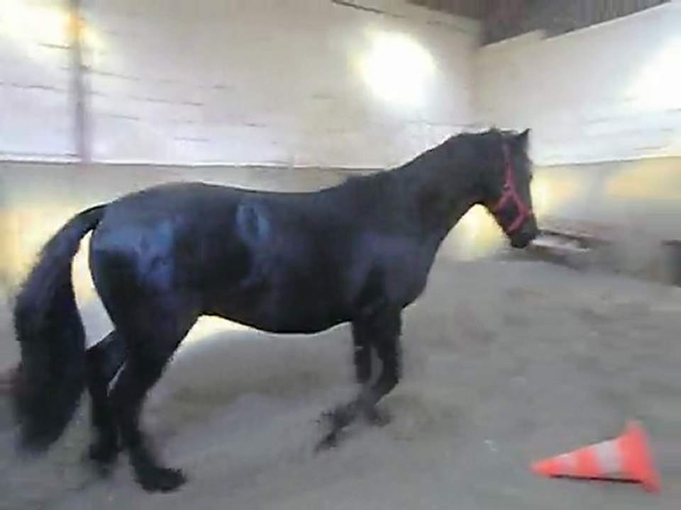 2012 02 19