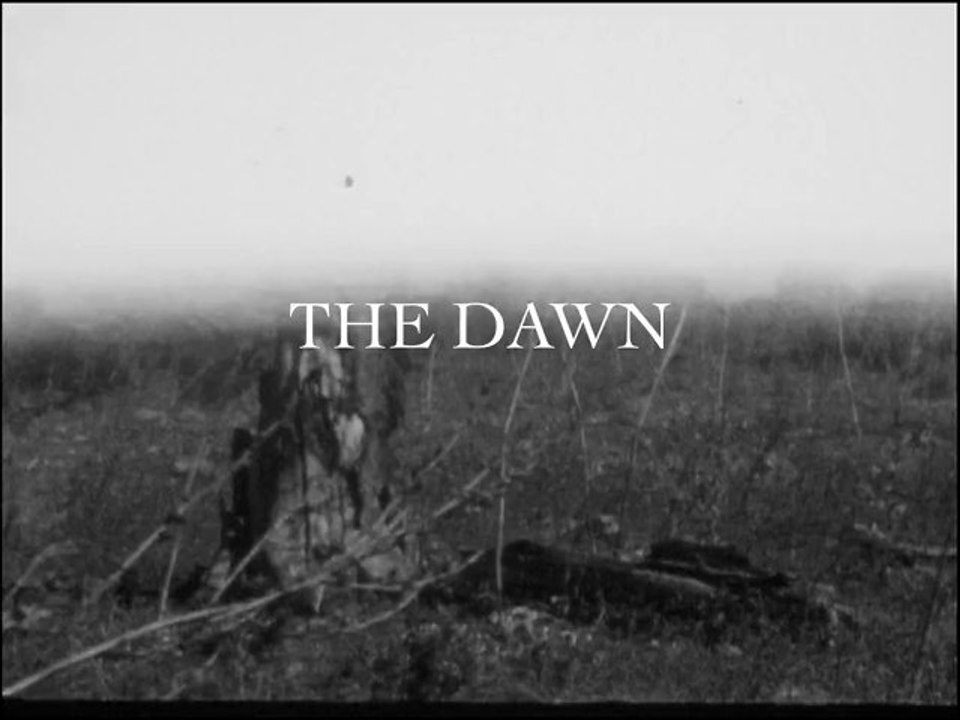 The Dawn