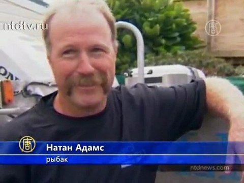 Новозеландский рыбак выудил тунца в 335 кг