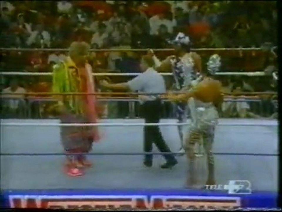Ultimate Warrior vs Machoman WM 7 (commento di Dan Peterson) parte 1 di 4