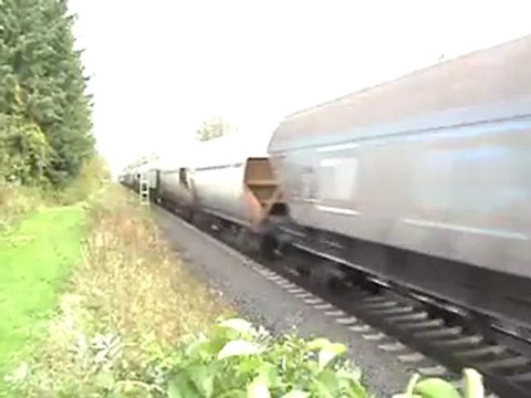 BR185 mit Rungenwagen nach Köln Bonn und BR152 Rail4chem nach Süden bei Rheinbreitbach