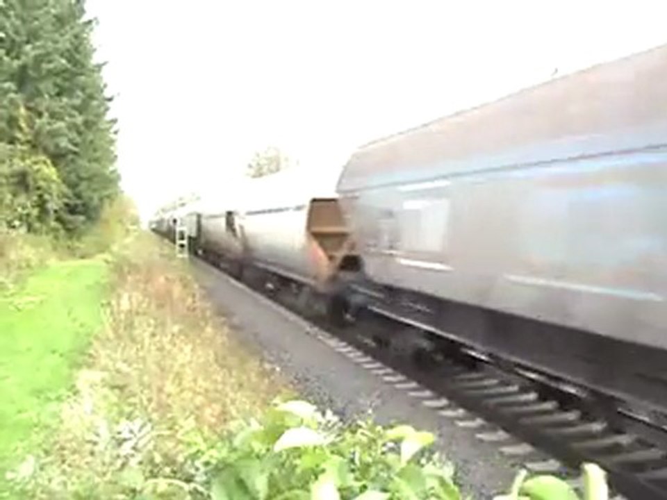 BR185 mit Rungenwagen nach Köln Bonn und BR152 Rail4chem nach Süden bei Rheinbreitbach