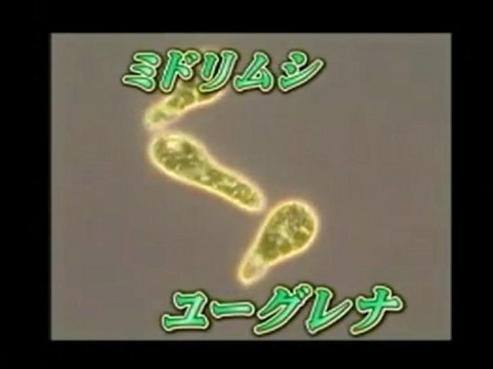 ミドリムシが世界を救う