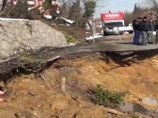 ALAPLI-ORMANLI YOLU HEYELAN