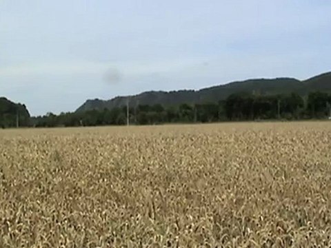 Desiro verläßt Haltepunkt Namedy Richtung Bf Brohl