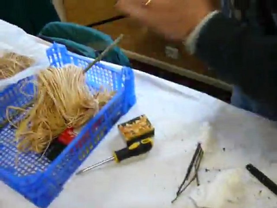 SHBL - greffe pommier avec Robert