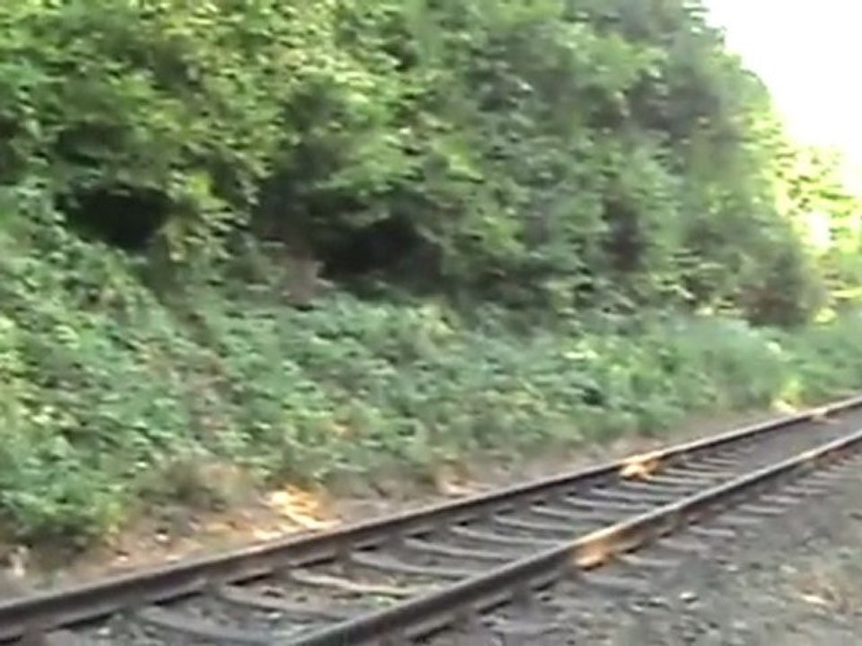 Bombardier Talent BR644 und Hauptsignal Witterschlick Heidgen 005