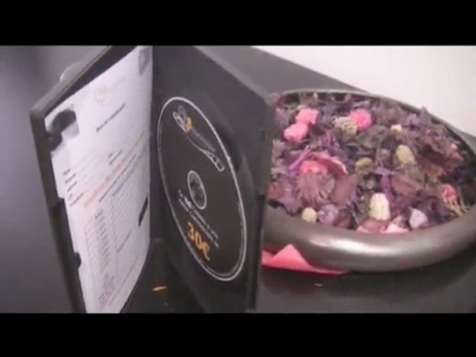 Sortie à Lyon Scav 2012