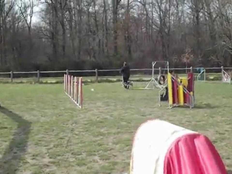 dove entrainement agility