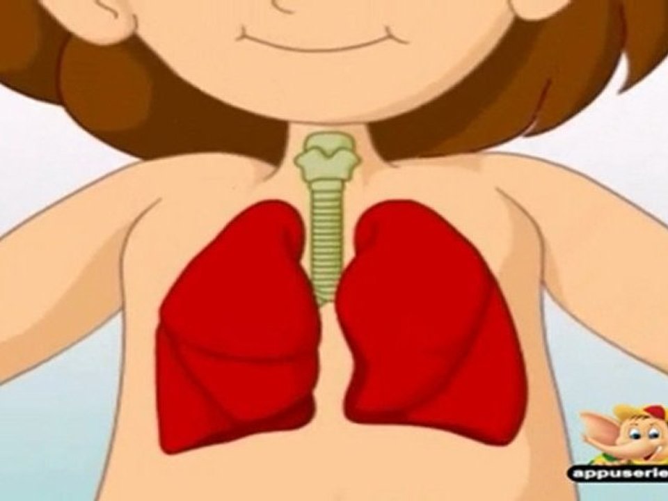 Learn - Important Body Parts