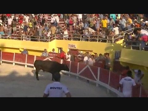 Saint Rémois Fabre Mailhan (course camarguaise)