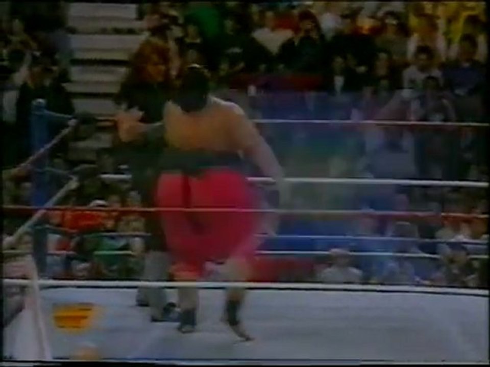 Undertaker vs Yokozuna (rumble 94) (commento di Dan Peterson) parte 1 di 3