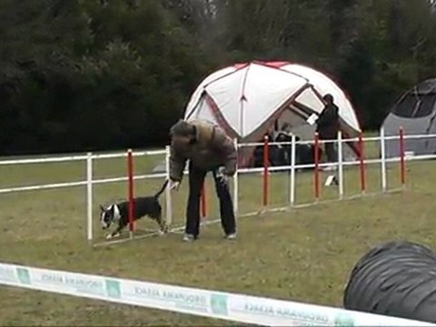 Evora GPF concours agility AC Boxer 0403/2012