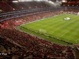 Benfica vs Zenit 2-0 1st half Highlights | UEFA Champions League