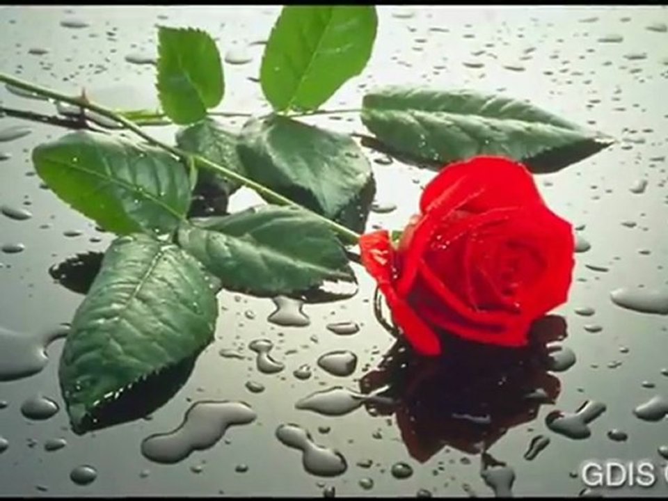 BILMEZ MISIN SEN